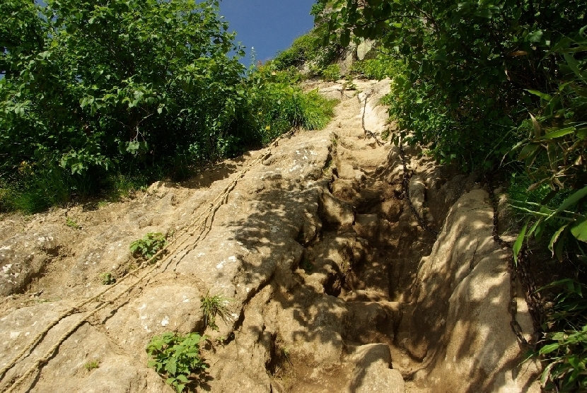 b0062024_5545869.jpg