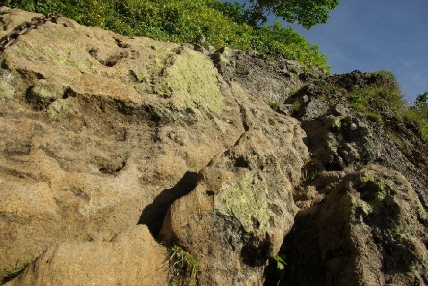 b0062024_5593231.jpg