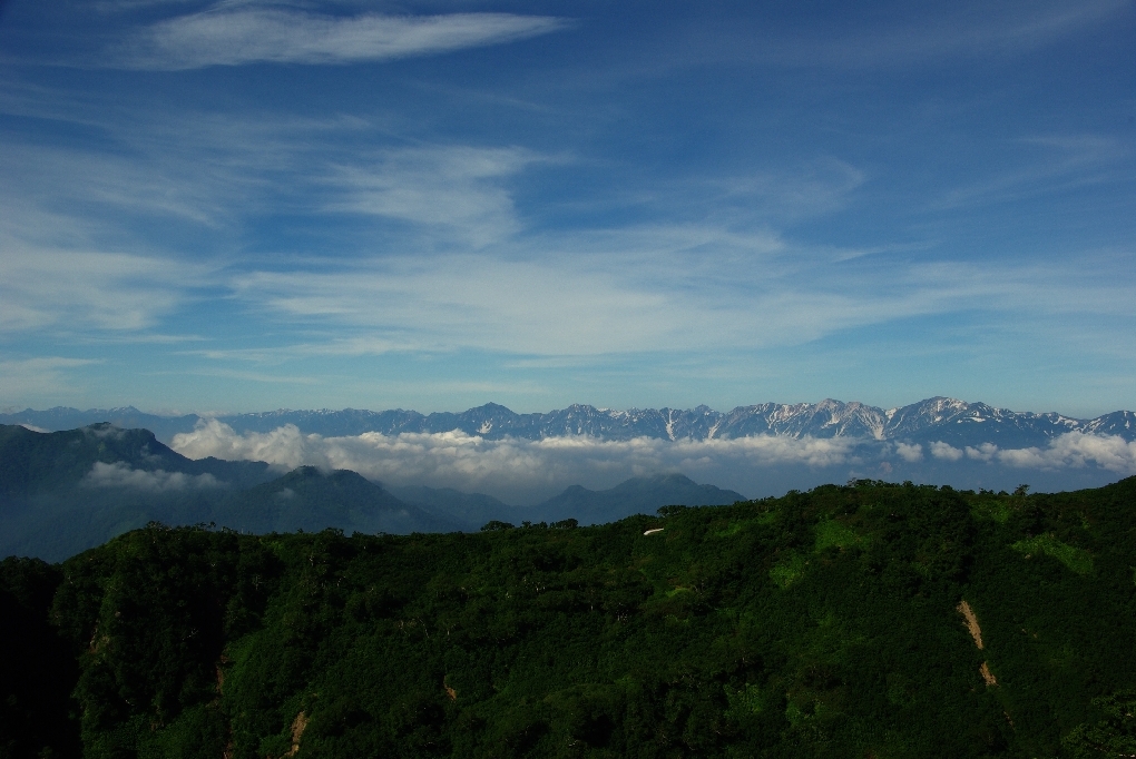 b0062024_615414.jpg