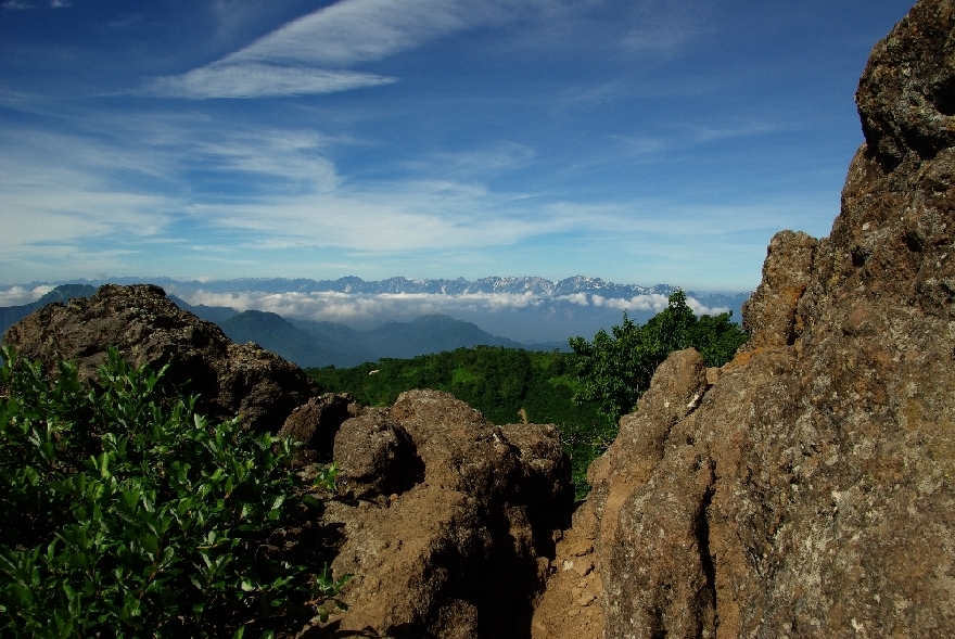 b0062024_635454.jpg