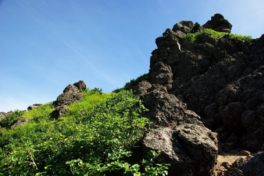 b0062024_664280.jpg