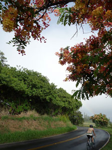 d0023725_4205851.jpg