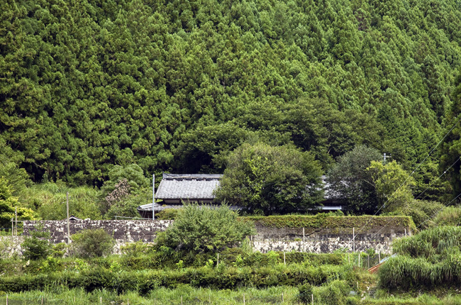 d0147530_5511167.jpg