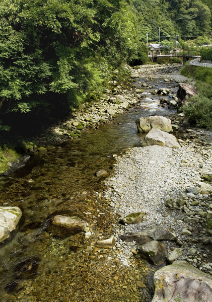 d0147530_5515565.jpg