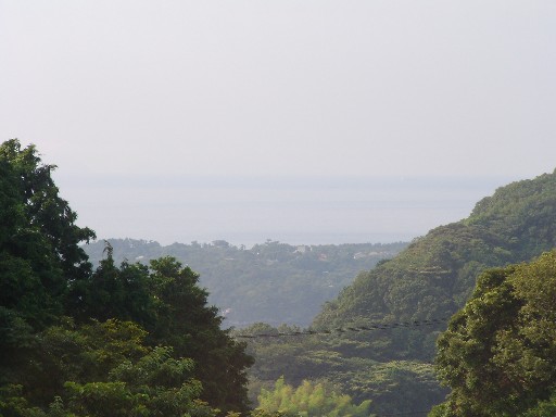 f0002833_22364967.jpg