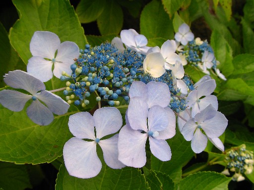 f0002833_22373896.jpg