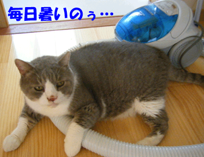 f0008935_13334938.gif
