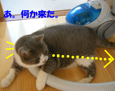 f0008935_13335912.gif