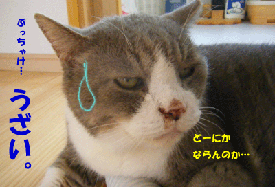 f0008935_13341986.gif