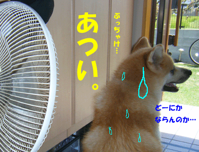 f0008935_13342858.gif