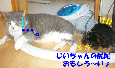 f0008935_1334981.gif