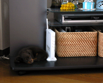 c0080038_18164151.gif