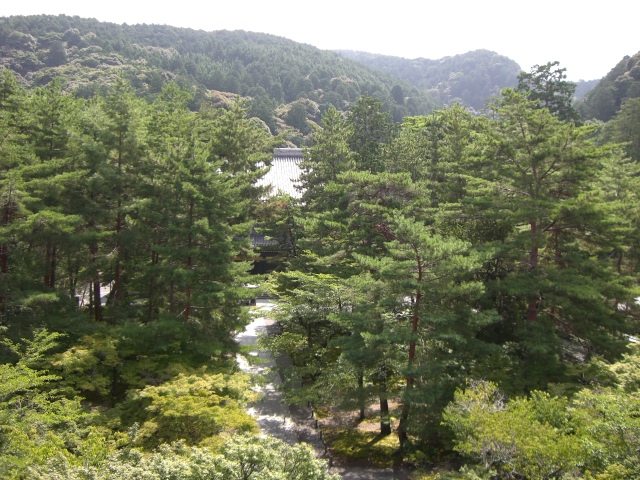 e0105846_20355238.jpg