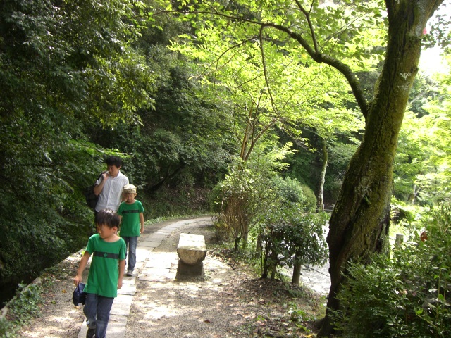 e0105846_2045742.jpg