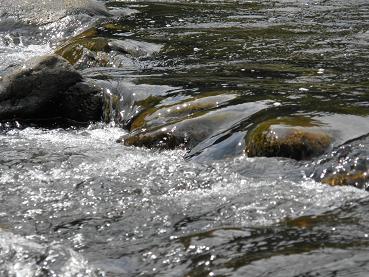 c0145250_10374230.jpg