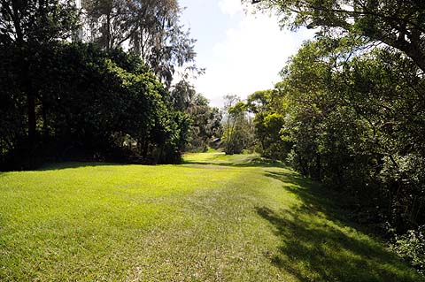 e0050753_21391133.jpg