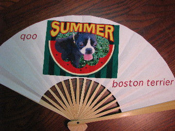 f0160554_20444996.jpg