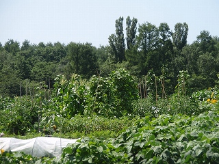 e0004756_21114290.jpg
