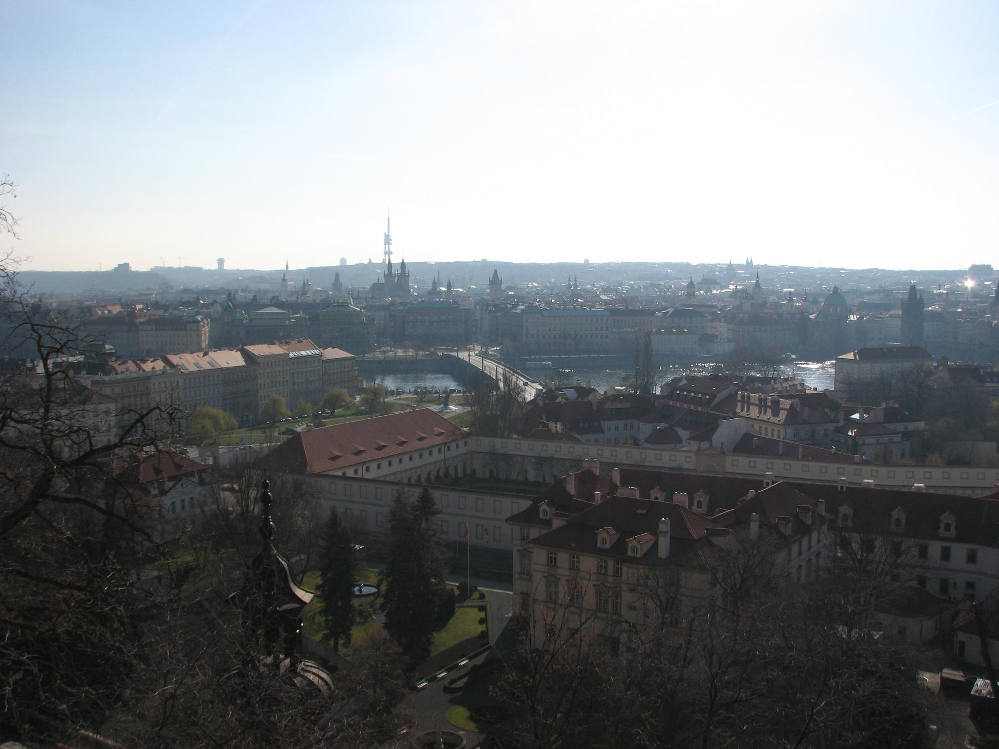 f0065556_9542556.jpg