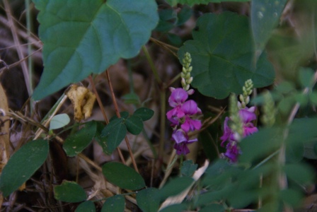 a0091666_20512995.jpg