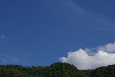 a0091666_20561295.jpg