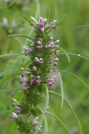 e0054067_22434062.jpg