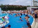 b0133870_20555675.jpg