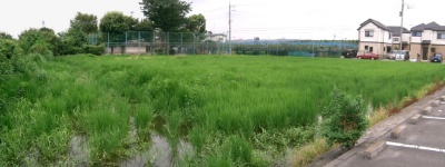 c0112172_047431.jpg