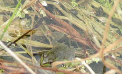 c0112172_048201.jpg
