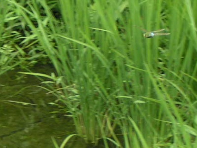 c0112172_048321.jpg