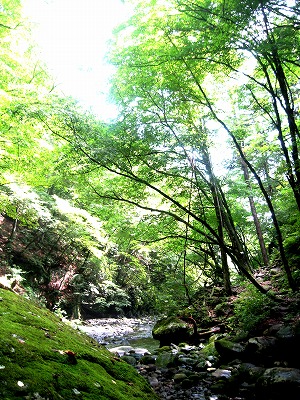 d0008073_1385128.jpg