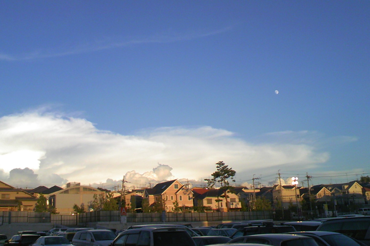 a0051674_19301733.jpg