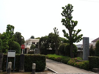 c0105785_9212675.jpg
