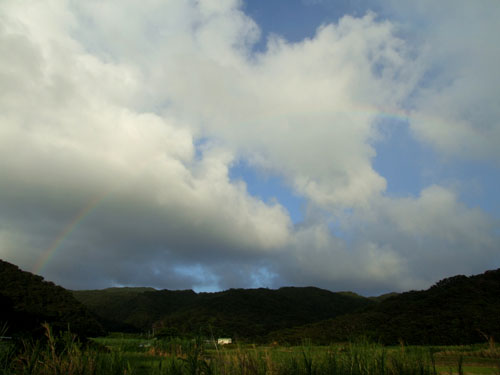 e0028387_0365651.jpg