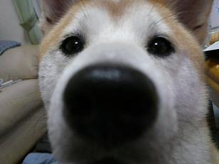 c0123890_21462759.jpg