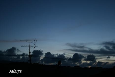 e0122194_201520.jpg