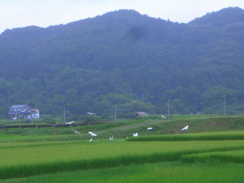d0069498_1025585.jpg