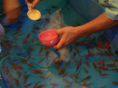 d0069498_1152336.jpg