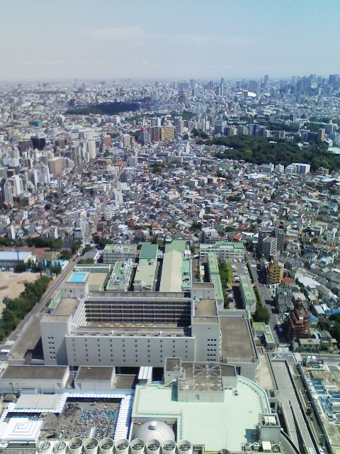 c0027700_23163521.jpg