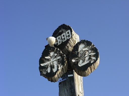 b0116703_663659.jpg