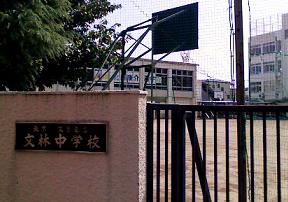 c0071803_191478.jpg