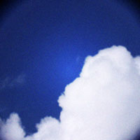 d0077603_8343558.jpg