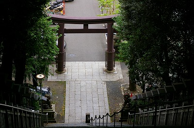 a0024005_2541333.jpg