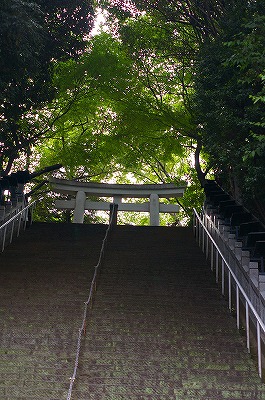 a0024005_2545021.jpg