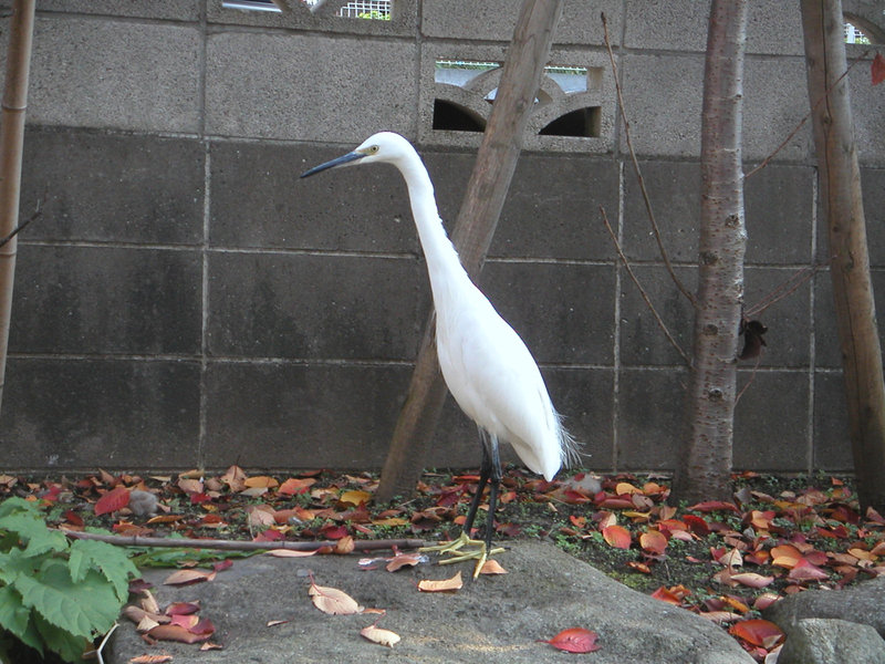 e0031605_21293552.jpg