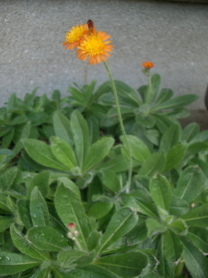 b0052108_2214370.jpg