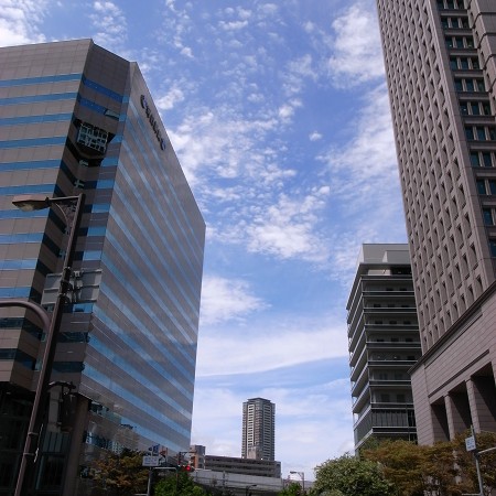 e0145711_119662.jpg