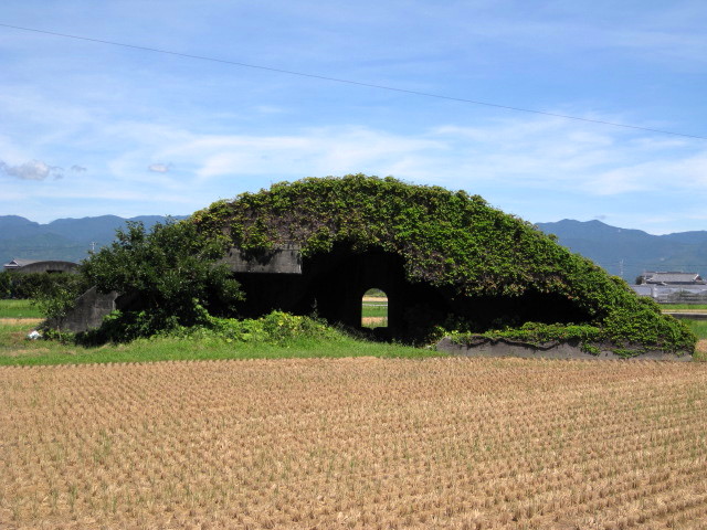 f0155614_1855655.jpg
