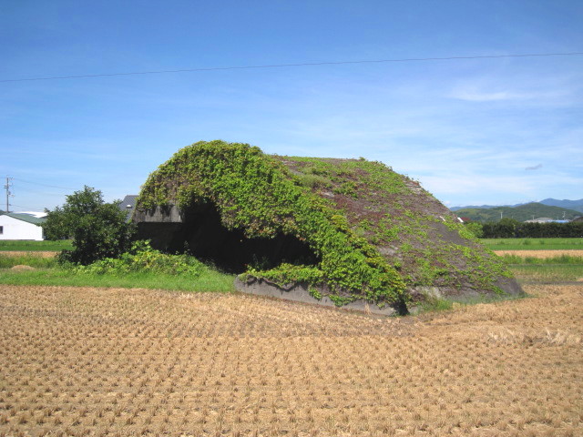 f0155614_1894884.jpg