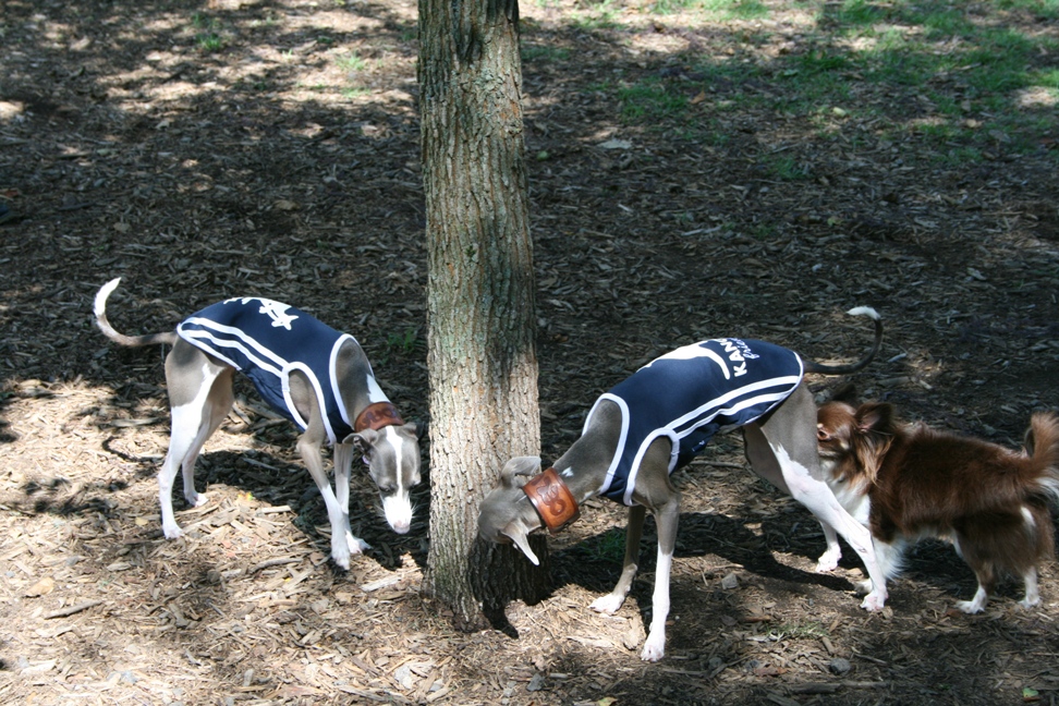 c0003217_14513378.jpg